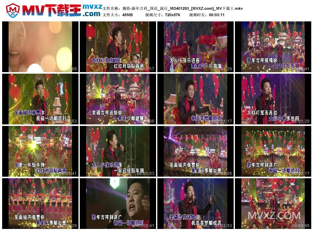 姚伟-新年吉祥_国语_流行_MD401293
